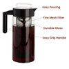 Glass cold brew maker with a black plastic lid and handle, featuring a fine mesh filter and clear top handle.