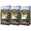 Get Up & Go Coffee Gift Set