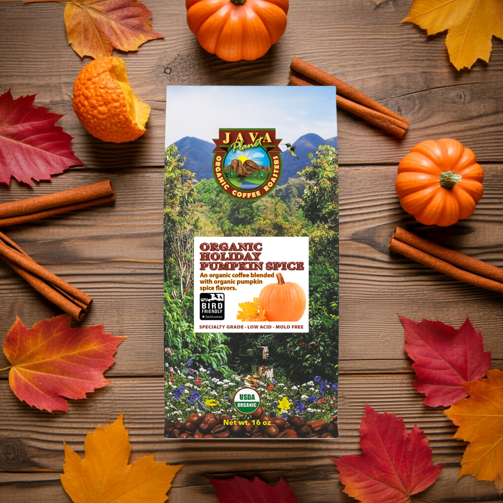Pumpkin spice bag with fall leaves cinnamon sticks 