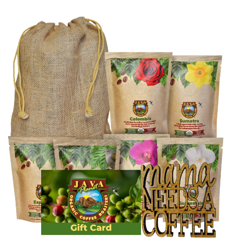 Travel the World From Your Kitchen